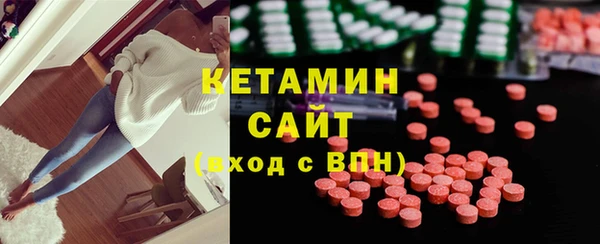 крисы Алексин