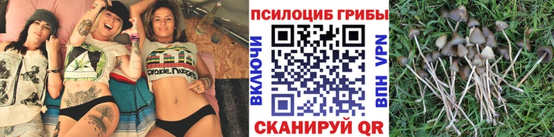 Галлюциногенные грибы мухоморы  Кирс 